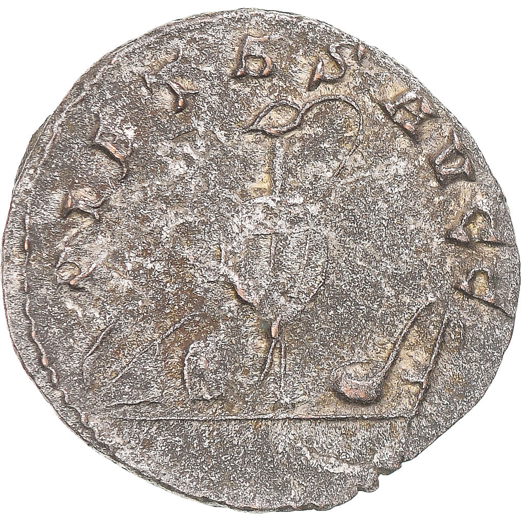 minca,
Saloninus,
Antoninian