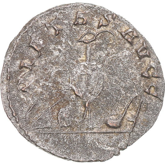 minca, 
  
  Saloninus, 
  
  Antoninian