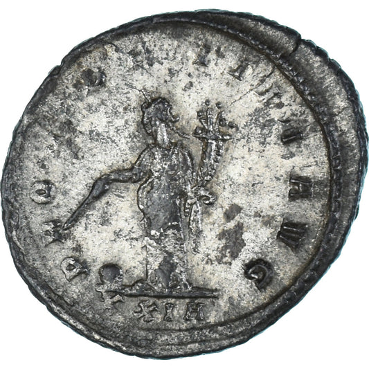 minca, 
  
  Tacitus, 
  
  Antoninian
