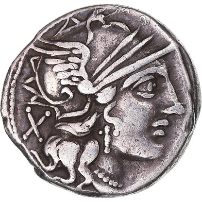 minca, 
  
  Plaucia, 
  
  dinár